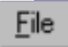 file button